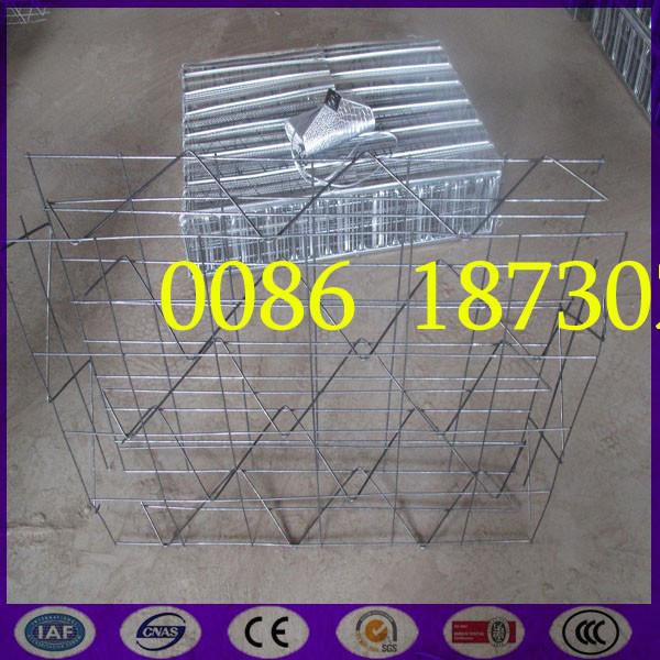Buy China Best  New type  3D Welded Mesh Panel with Expanded Rib Lath at wholesale prices