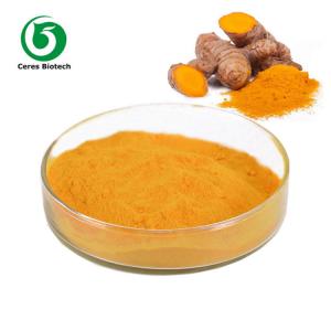 Quality Natural Turmeric Curcumin Extract 95% for Anti-Inflammatory and Antioxidant for sale