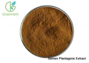 Quality Natural Plantain Extract / Semen Plantaginis Extract Powder Plantenolic Acid for sale