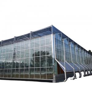 Hot Dip Galvanized Structure Glass Venlo Agricultural Greenhouse Weather Resistance