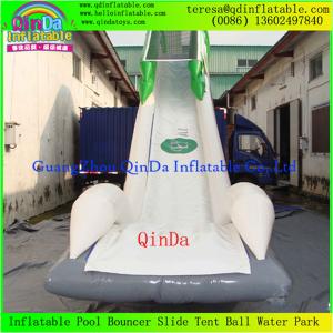 Quality Enjoy Giant Inflatable Water Slide For Adult, Inflatable Toy, Adults Inflatable Slide for sale