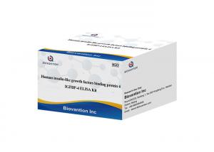 Quality Mechano Growth Factor MGF ELISA Kit IGF-1 Insulin Like Growth Factor 1 Test for sale