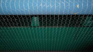 China White Hdpe Anti Uv Bale Net Wrap For Farm To Storage Hay , Custom on sale