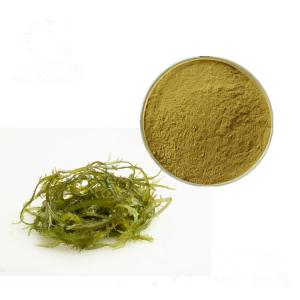 Quality Water Soluble Natural Alginic Seaweed Extract for sale