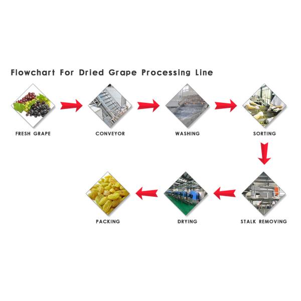 Safety Dried Fruit Processing Equipment / Industrial Tomato Drying Machine