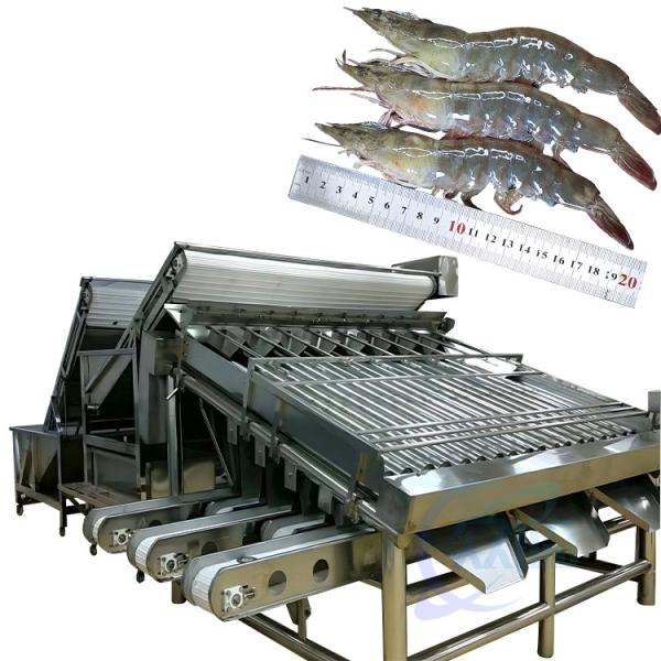 Buy Seafood and shrimp grading processing machine, shrimp and fish sorting machine, crayfish and shrimp grading machine at wholesale prices