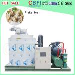 Large Capacity Ice Flakes Making Machine , Commercial Ice Makers 1000 Kg To