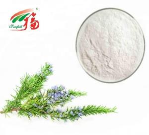 Quality 90% - 98% Rosmarinic Acid Powder / Rosemary Antioxidant Extract For Pharmaceutical for sale