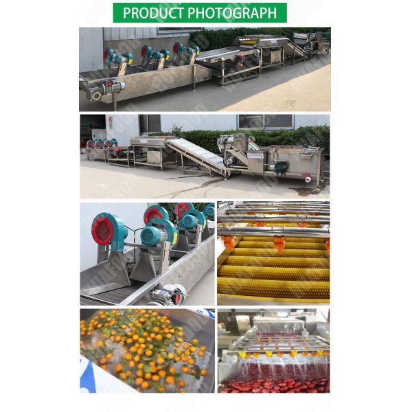 500kg / H AutomaticFruit And Vegetable Processing Line Fruit And Vegetable Cleaning Machine