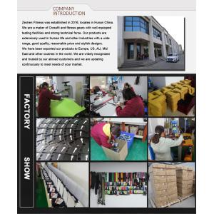 Hunan Zechen Fitness Co., Ltd.