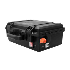 China 18650 Portable Li Ion Battery Pack 51.2V 40Ah Ternary Lithium Ion Battery on sale