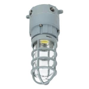 China 10-40W Explosion Proof Led High Bay ATEX AC100-277V on sale