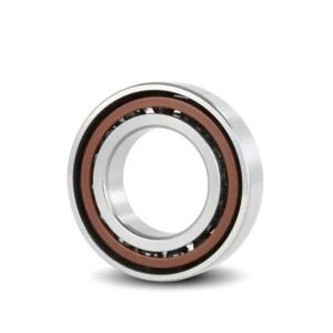 China Z1 Z2 Single Row Angular Contact Ball Bearing High Speed 8cm For Electric Motor on sale