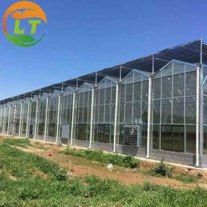Quality Ventilation System Included Venlo Glass Greenhouse with Galvanized Pipe Steel Structure for sale