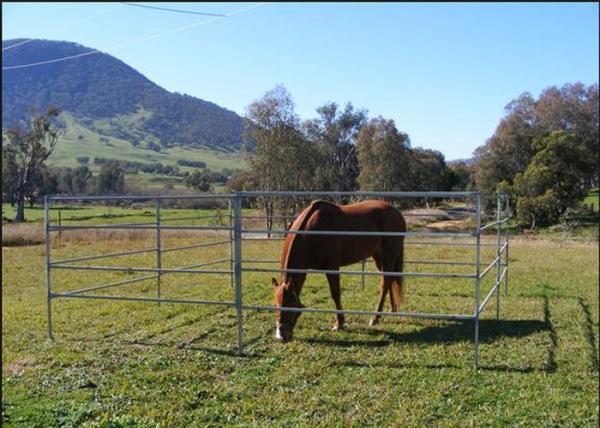 Buy 1.8m Height Cattle Farm Panels , Animal Metal Horse Fence Panels Flexible at wholesale prices