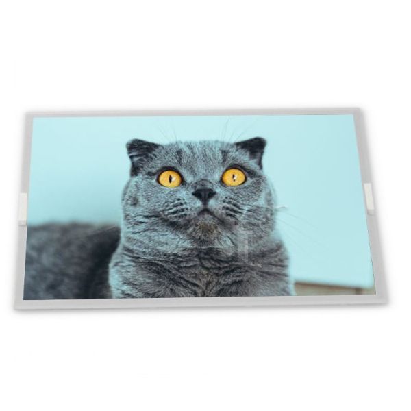 Buy EV238FHM-N12 23.8 TFT LCD Display Modules Custom TN Industrial Screen with LED Backlight Gold Supplier Complete Range at wholesale prices