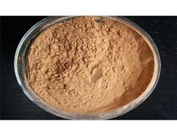 China Natural chemical Fenugreek seed Extract natural extract from China market on sale