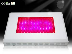 Quality Horticulture Lighting Square LED Plant Grow Lights growth Room Lamp with Red and Blue LED for sale