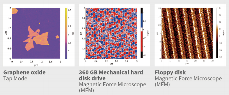 Basic-type Atomic Force Microscope