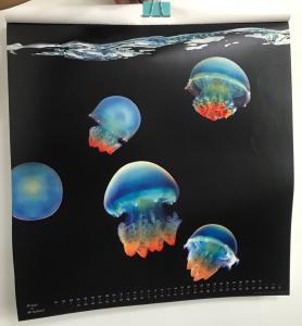 Quality Double Sided 3d Custom Lenticular Printing 200g White Cardboard for sale