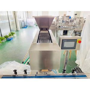 China Professional Electric Driven Automatic Tablet Filling and Counting Machine for 220V/50HZ 0.6KW on sale