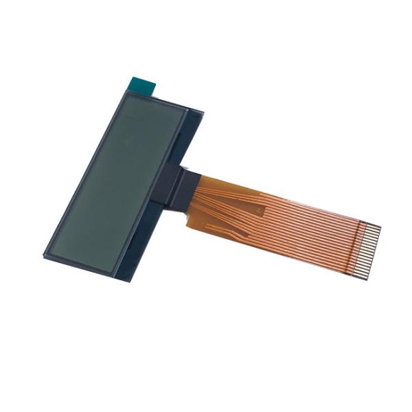 Buy Programmable Alphanumeric Lcd Display Module 3.3v Parallel Interface at wholesale prices