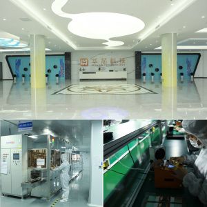 HuaXin Technology (HK) Co.,Ltd