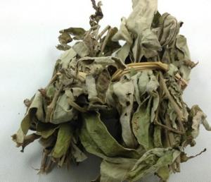 Quality Sheepear Inula Herb from Inula cappa Buch Ham DC whole part or roots use as herbal medicine yang er ju for sale