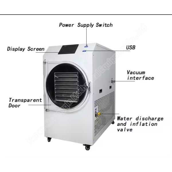 Home Use Coffee Freeze Dryer Vacuum Food Fruit Freeze Dryer SUS 304