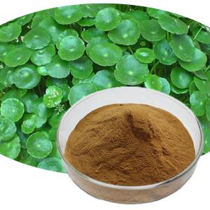 Quality Organic Herb Extract Centella Asiatica Gotu Kola Powder for sale