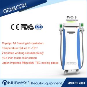 China Most professional best selling stand 3 years warranty fat freezing slimming equipment on sale