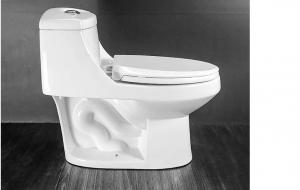 Quality 90mm One Piece Elongated Dual Flush Toilet Elongated 1 Pc Toilet for sale