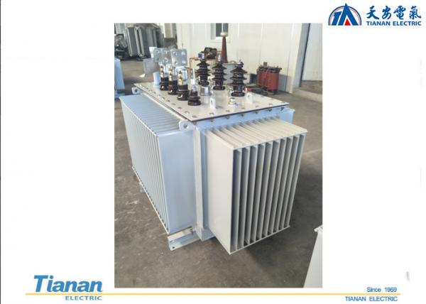 Buy Full Sealed Outdoor Oil Immersed Power Transformer 20kv With Three Phase at wholesale prices