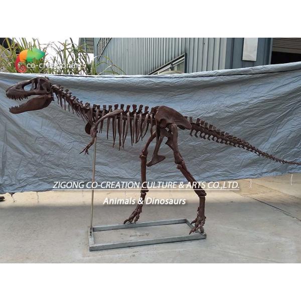 Personalized customization Dinosaur Bone Replicas T Rex Skull Replica