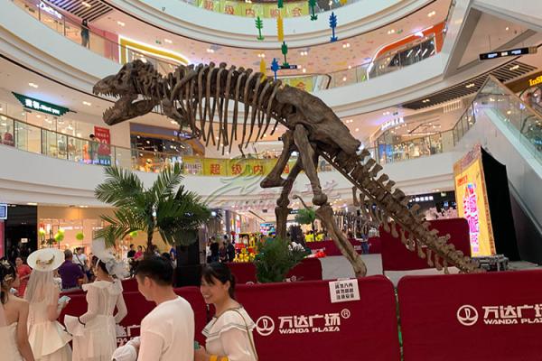 Buy Artificial Simulation Complete Dinosaur Fossil Model Customization Support at wholesale prices