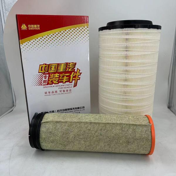 WG9525195201 Air Filter Element P781098 P781102 Industrial Filter Element