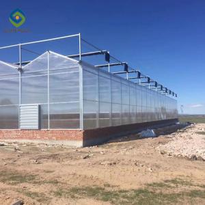 China 12m Multi Span Clear Polycarbonate PC Sheet Greenhouse on sale
