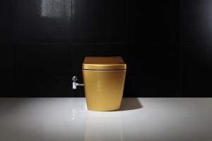 Quality Golden Intelligent Auto Wash Toilet Personal Hygiene Cleaning smart toilet for sale