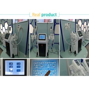 Buy cheap 12 inch touch color screen -15~5 celcius ice shaping cryolipolysis fat freeze from wholesalers