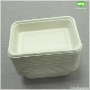 China 500ml Eco-Friendly Unbleached Sugarcane Pulp Rectangular Lunch Box ,750ml Biodegradable Tray 950ml Disposable Pulp Tray on sale