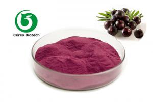 Quality Pink To Red Fruit Juice Powder Acai Berry Fruit Powder Health Care Field for sale