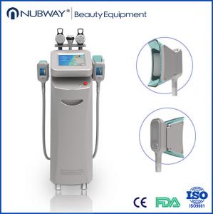 China Cryolipolysis Fat Loss Slimming Machine/Cryolipolysis/Cryotherapy equipment on sale