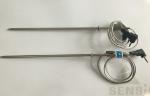 Sharped Stainess Steel Temperature Probe For Temp. Measurement Or Liquid