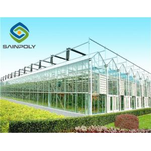 China 8m 10m Multi Span Greenhouse For Plant Fruits Vegetables Flowers on sale