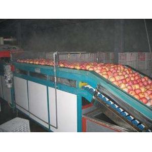 Buy cheap 2 Ton Per Day Apple Juice Processing Plant Beverage Processing Line from wholesalers