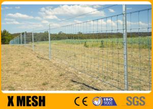 Quality ASTM A121 15cm Hinge Joint Fencing Wire Mesh Hot Dipped Galvanized for sale