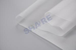 China Precision Woven Nylon Filter Mesh made of Monofilament Nylon Yarns on sale