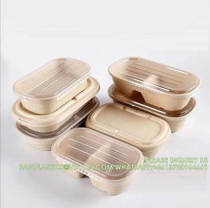 Quality Wholesale Sugarcane Bagasse Pulp Lunch Box Takeaway Food Container Diaposiable Recyclable Sugarcane Packaging Box for sale