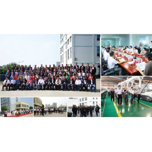 Anhui Zhongke Optic-Electronic Color Sorter Machinery Co., Ltd.