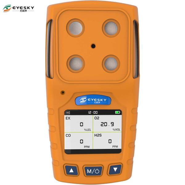 Buy Portable H2s Single Gas Detector TFT Display By Combustible Gas Alarm Control System at wholesale prices